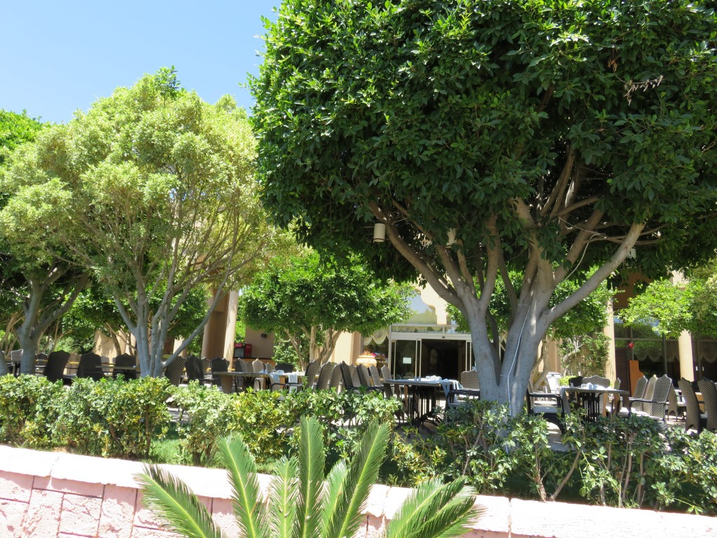 imagini hotel SPICE BELEK